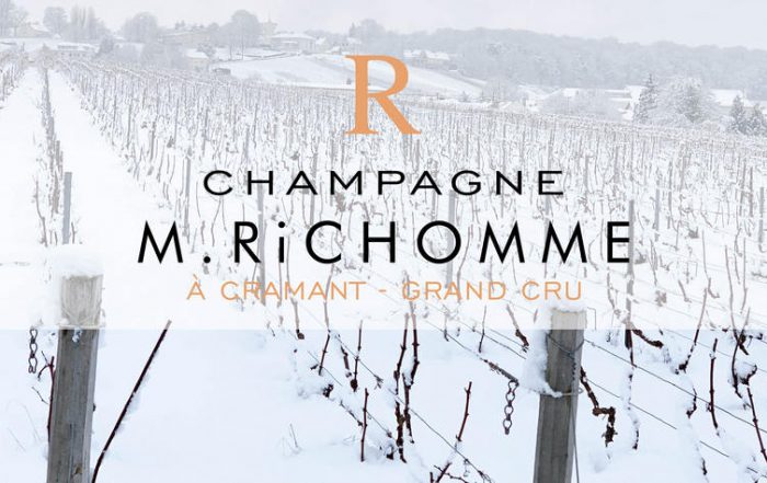 champagne richomme vignes sous la neige